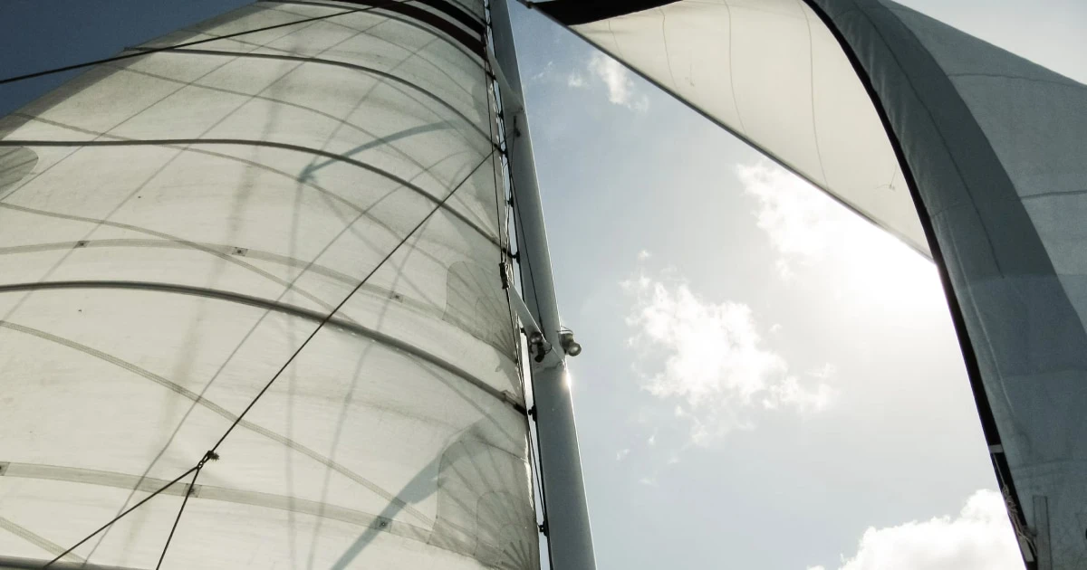 Close-up of a sail filled by the wind, with its seams and rigging visible.